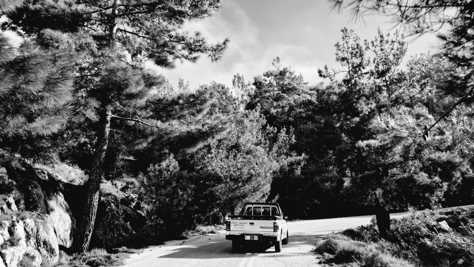 A black-and-white photo of a pickup truck navigating a winding forest road.
